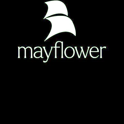 CHIEF EXECUTIVE, MAYFLOWER GROUP (FORMER)